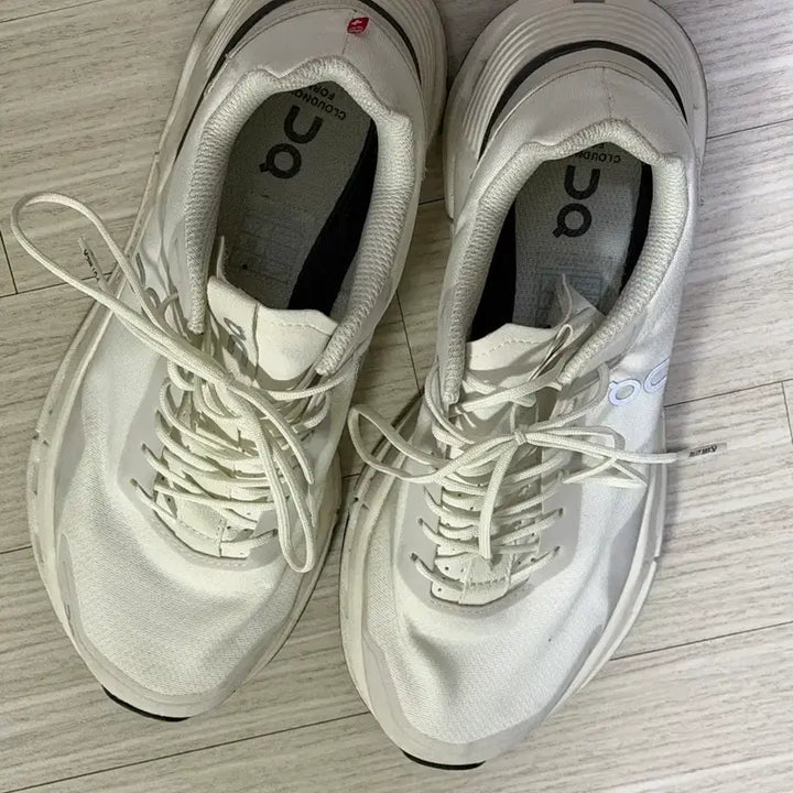 [BUNJANG] Assorted Nike, Adidas, Hoka, and Other Sneakers / 신발 여러켤레 모음 (나이키/아디다스/호카 외)