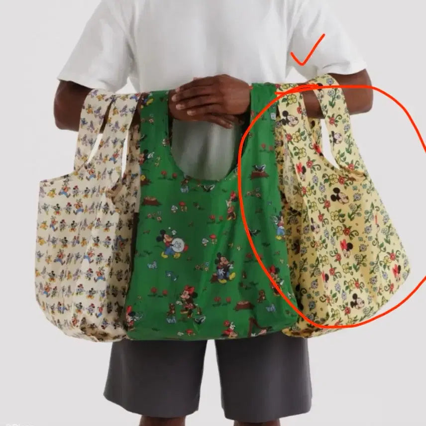 [BUNJANG] Baggu Disney Storybook Floral Standard Reusable Bag / 바쿠(Baggu)디즈니 스토리북 플로럴 스탠다드