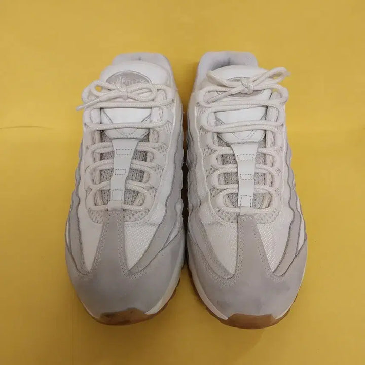 [BUNJANG] Nike Air Max 95 Desert Exotic Skin Sneakers (260) / 남성 나이키 운동화 (260)