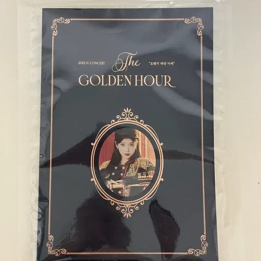 [BUNJANG] IU Official Lightstick &