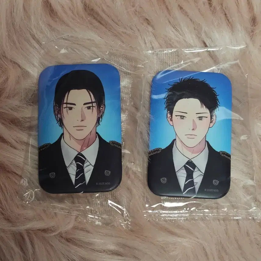 [BUNJANG] Webtoon A-Bak Clear Photo Card Can Badge Bundle Set / 레진 웹툰 아밝 증사 캔뱃지 공수 일괄