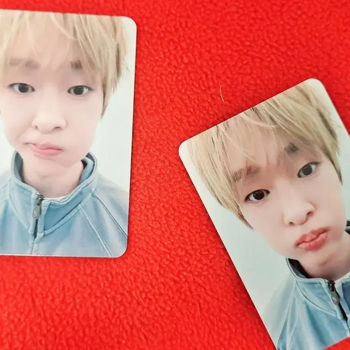 [BUNJANG] SHINee Onew Tough Love Makestar Talk Event POB Photocard Set / 온유 Tough Love 메이크스타 토크이벤트 미공포 2장 set