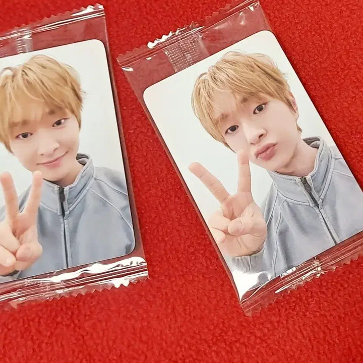 [BUNJANG] SHINee Onew Tough Love K-Town4U POB Photocard Set / 온유 터프러브 케타포 미공포2장 set