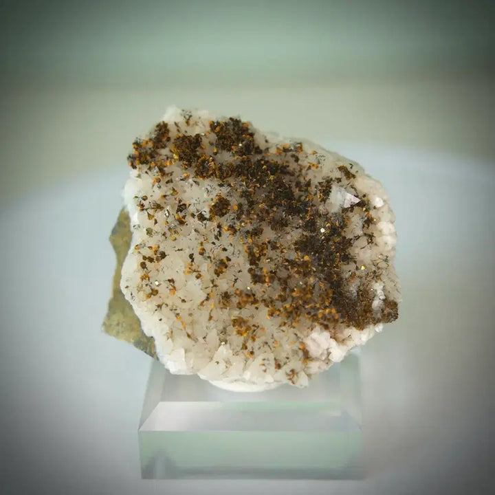 [BUNJANG] Goethite, Pyrite, and Quartz Symbiotic Specimen / 침철석 황철석 석영 공생표본