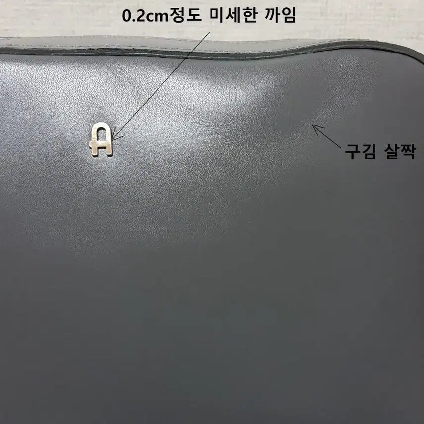 [BUNJANG] ADDY NETTY Coated Genuine Leather Small Shoulder Crossbody Bag / ADDY NETTY 에디네띠 코팅 천연 소가죽 소형 숄더 크로스백
