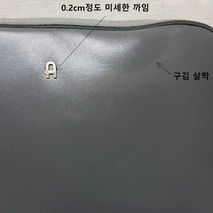 [BUNJANG] ADDY NETTY Coated Genuine Leather Small Shoulder Crossbody Bag / ADDY NETTY 에디네띠 코팅 천연 소가죽 소형 숄더 크로스백