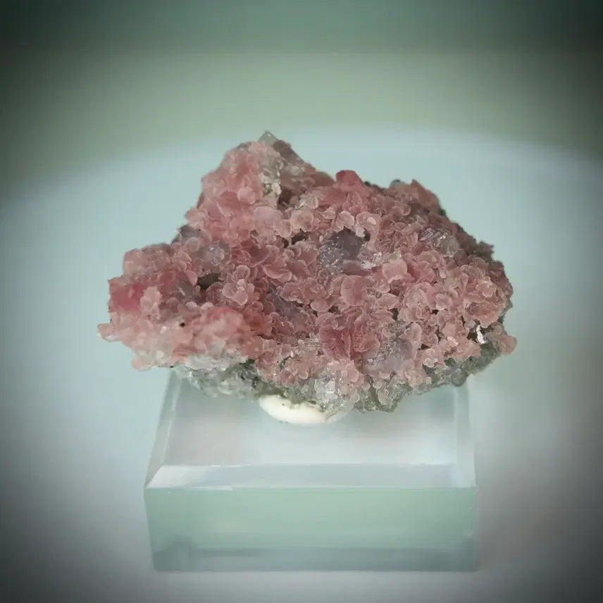 [BUNJANG] Apatite with Rhodochrosite Symbiotic Specimen / 인회석 능망간석 공생 표본