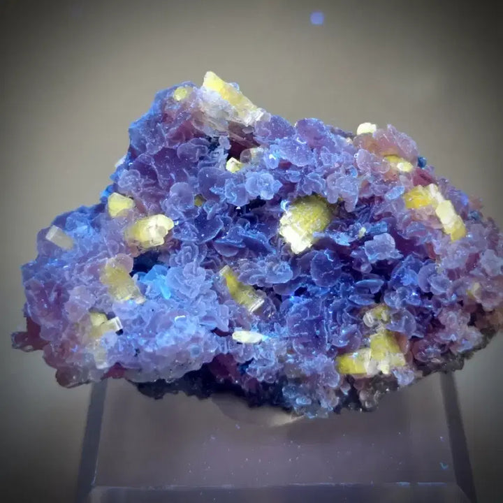 [BUNJANG] Apatite with Rhodochrosite Symbiotic Specimen / 인회석 능망간석 공생 표본
