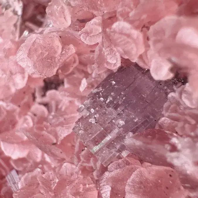 [BUNJANG] Apatite with Rhodochrosite Symbiotic Specimen / 인회석 능망간석 공생 표본
