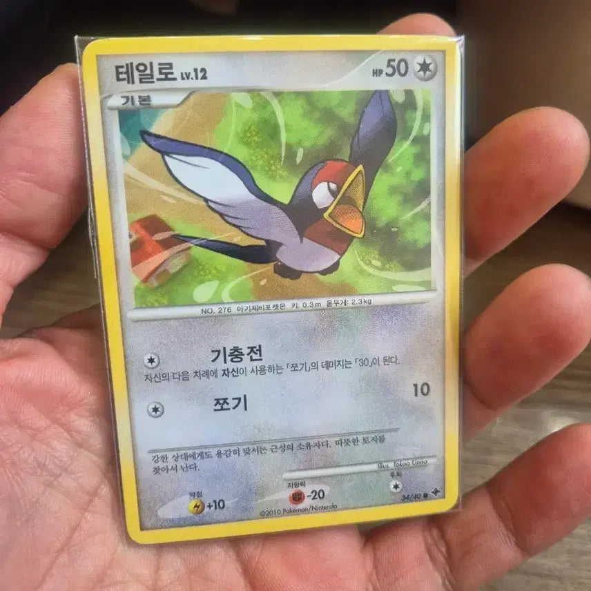 [BUNJANG] Pokemon Card Tailow DP Series / 2010 DP 테일로 포켓몬카드