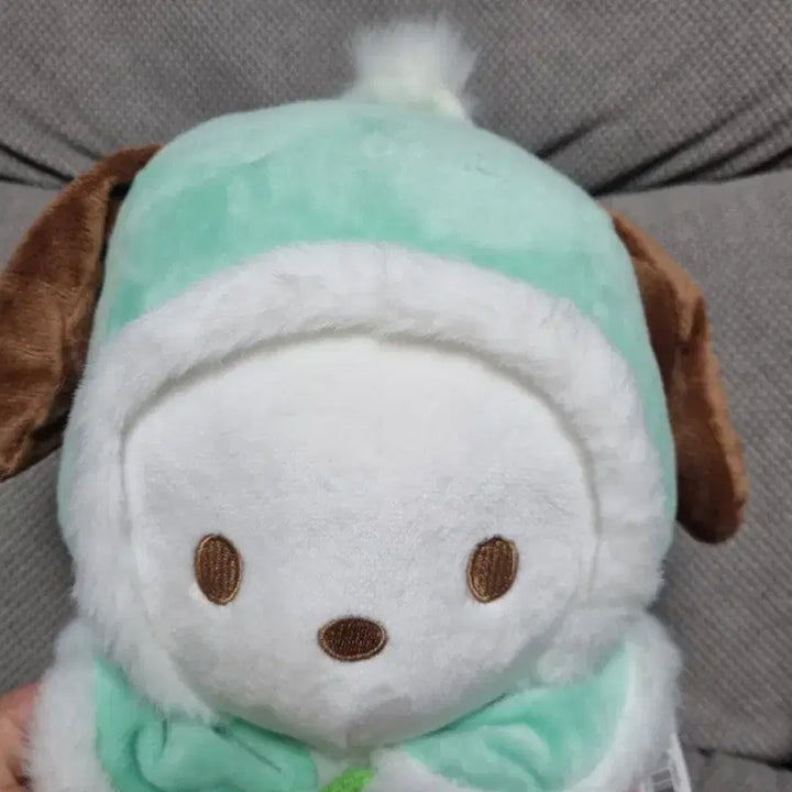 [BUNJANG] Sanrio Pochacco Medium Plush Doll with Mint Cape / 산리오 포차코  컬러망토 중형인형