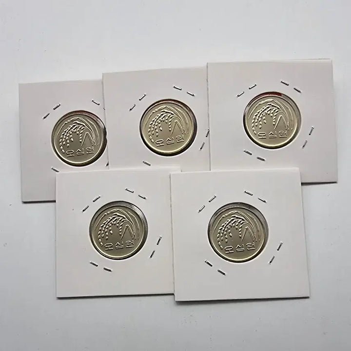 [BUNJANG] 2004 Unused 50 Won Coin Bundle (5 pieces) / 2004년 미사용 50주화 5개