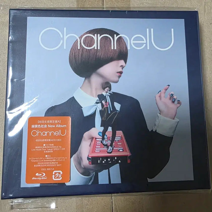 [BUNJANG] Rokh Hwangsaehoe Channel U Limited Edition Blu-ray CD Album / 녹황색사회 Channel U 초회생산한정반 블루레이 CD 앨범