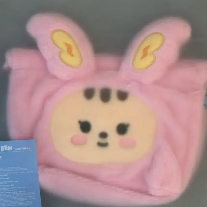 [BUNJANG] SEVENTEEN Jeonghan Mini Pouch / 새상품)미니틴 윤정한 세븐틴 쫑토람 파우치 양도