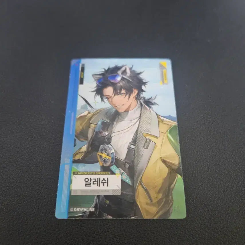 [BUNJANG] Arknights Endfield Arleschin Card / 명일방주 엔드필드 알레쉬 카드