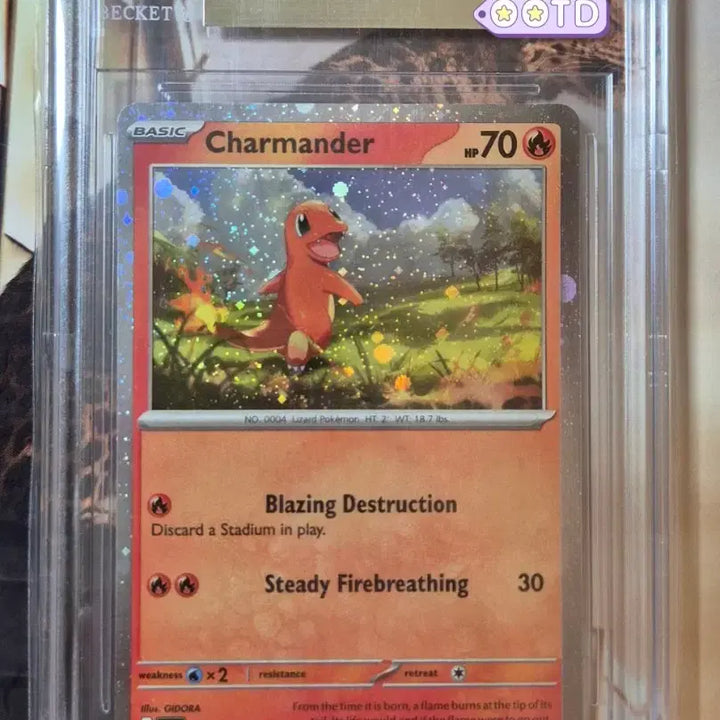 [BUNJANG] Pokemon Card 2024 North American Edition Charmander Cosmos Holo BGS 9.5 / 등급카드 BGS9.5 포켓몬카드 2024 북미판 파이리 코스모스홀로