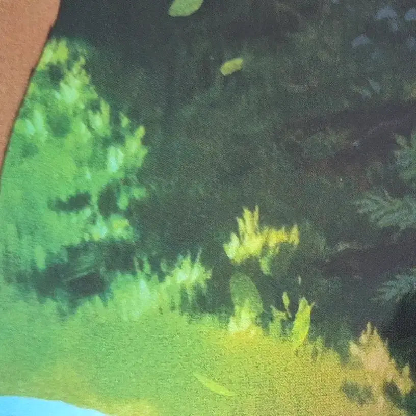 [BUNJANG] Princess Mononoke Dolby Cinema Artgraphy Poster Bundle / 영화 모노노케 히메 돌비시네마 1주차 2주차 아트그라피 포스터