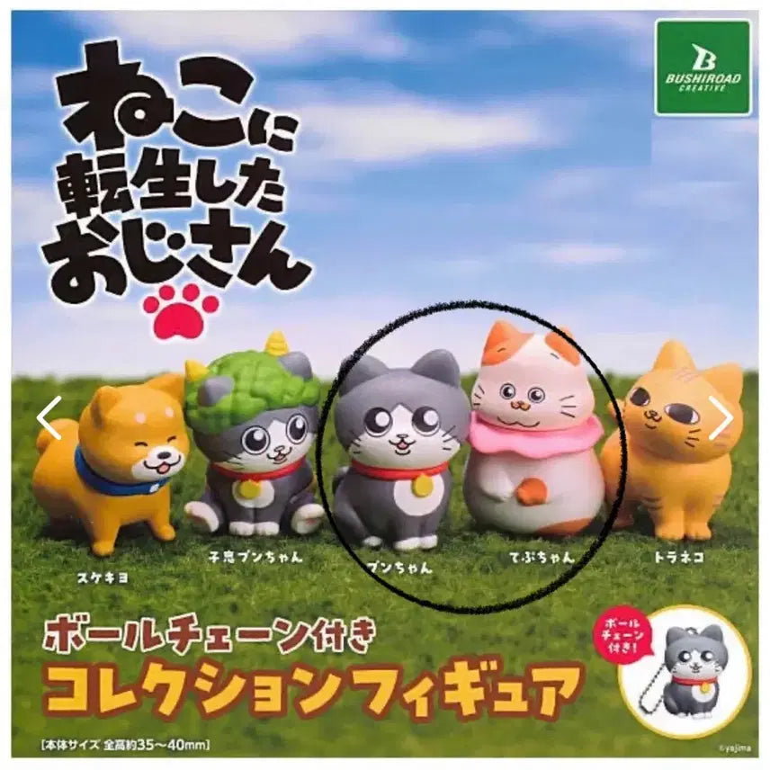 [BUNJANG] Transmigrated into a Cat Dad Gacha Keychain Set / (개봉품) 고양이로 전생한 아저씨 키링 가챠