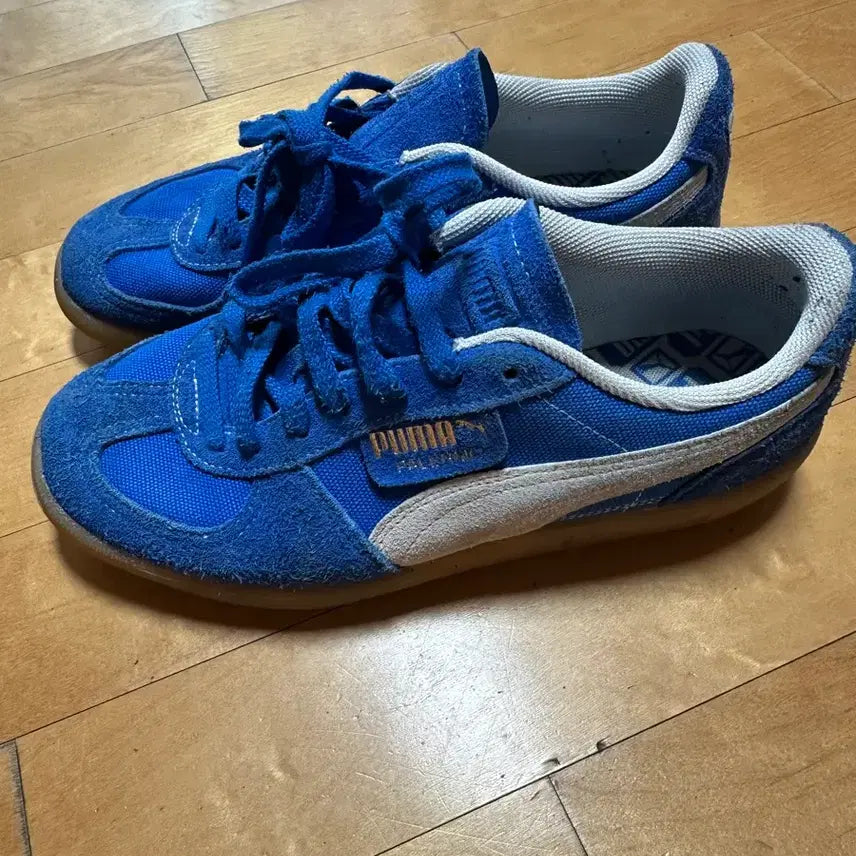 [BUNJANG] Puma Palermo Vintage Blue/Ivory 260 / 퓨마  팔레르모 빈티지 블루:아이보리 260