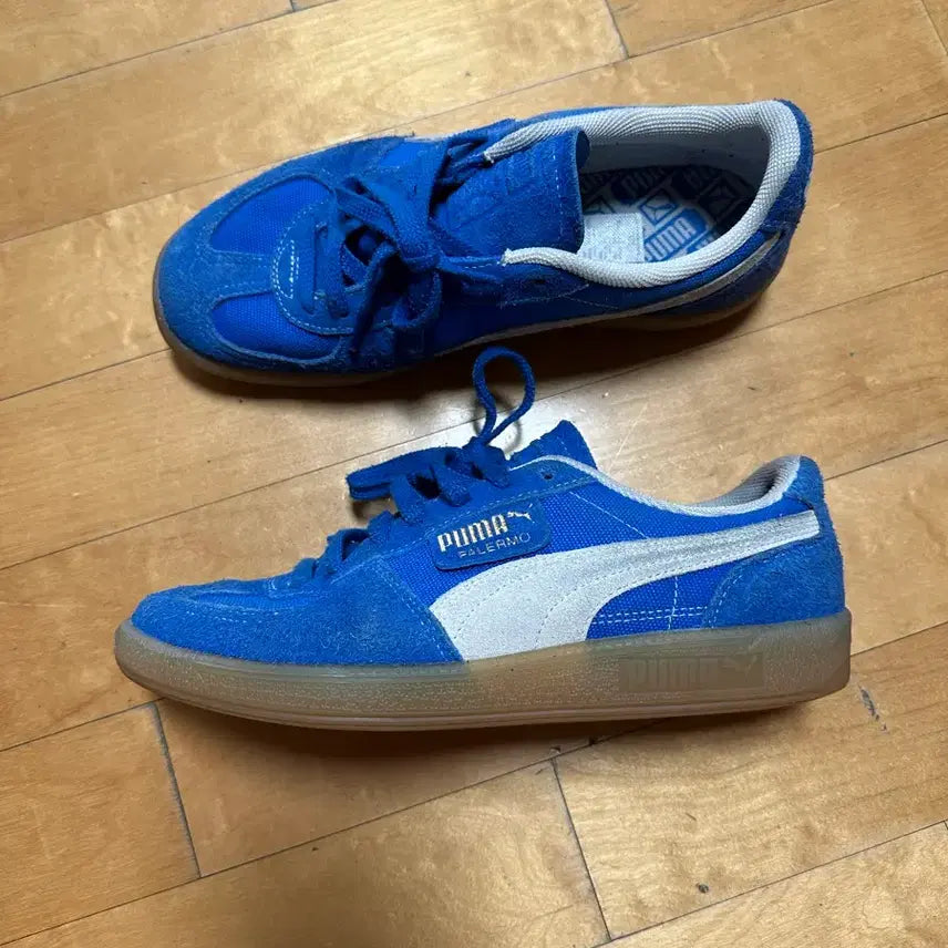 [BUNJANG] Puma Palermo Vintage Blue/Ivory 260 / 퓨마  팔레르모 빈티지 블루:아이보리 260