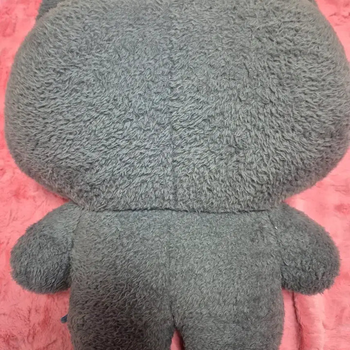 [BUNJANG] Woongnyeo Plush Doll / 대왕 웅니니