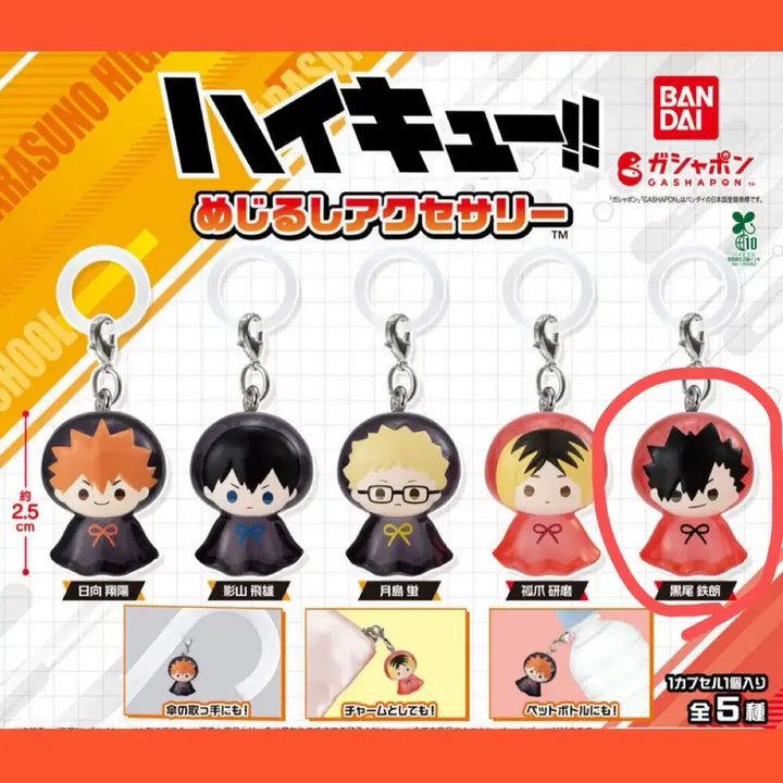[BUNJANG] Haikyuu!! Mejirushi Gacha Tetsuro Kuroo (Sealed) / (미개봉) 하이큐 메지루시 가챠 쿠로오