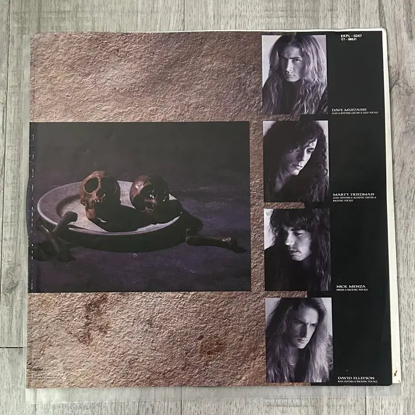 [BUNJANG] Megadeth LP / Megadeth lp
