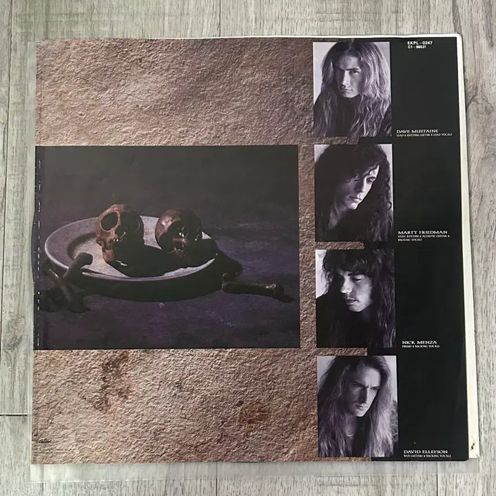 [BUNJANG] Megadeth LP / Megadeth lp