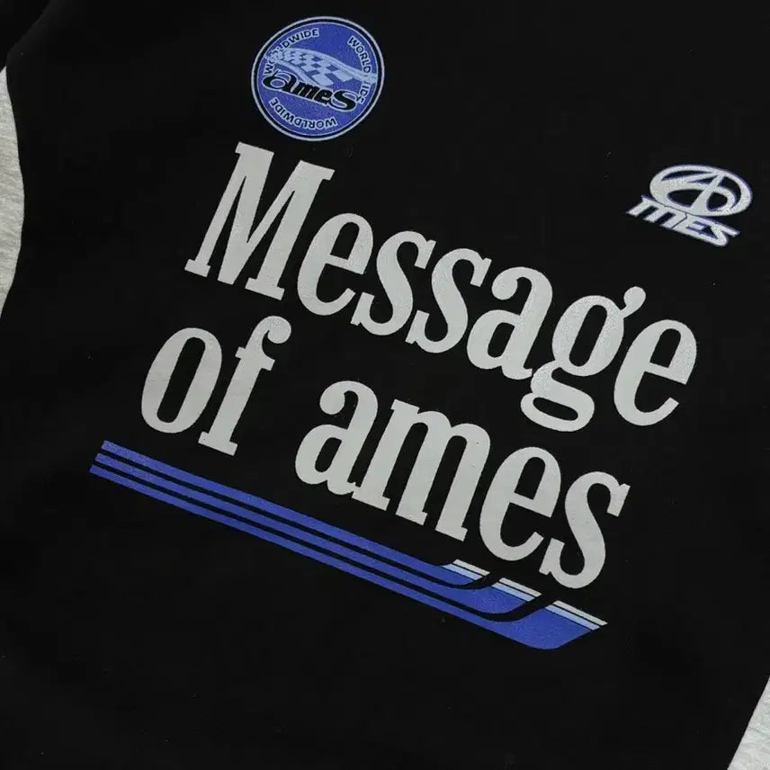 [BUNJANG] AMES WORLDWIDE Sweatshirt / AMES-WORLDWIDE 스웻셔츠