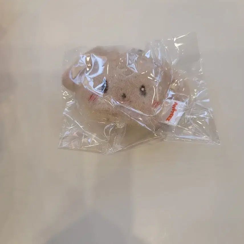 [SOLD OUT] 애니티즈 가챠 줄줄이 키링 윤호 튜덩