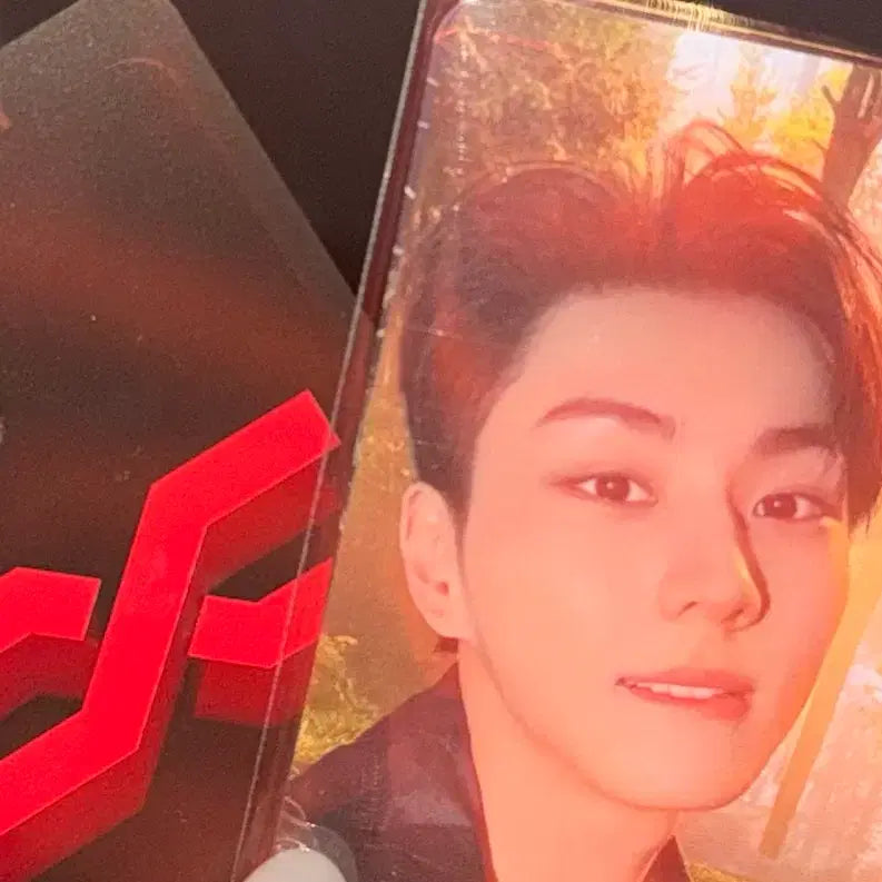 [BUNJANG] ENHYPEN ENNIZONE Photocard Bundle Set / 엔하이픈 엔진존 포카 6장 일괄 양도