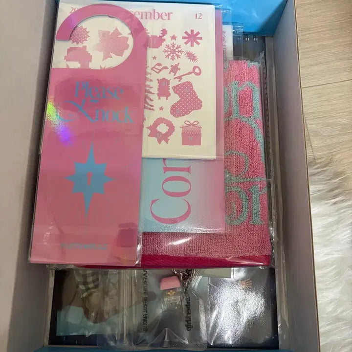 [BUNJANG] PLAVE 2025 Season&