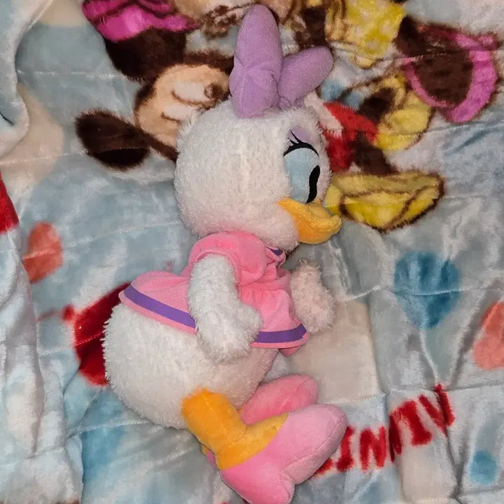 [BUNJANG] Disney Daisy Duck Plush Doll / 도쿄 디즈니랜드 디즈니 데이지 덕 인형 귀여운 오리 도날드 덕 여친