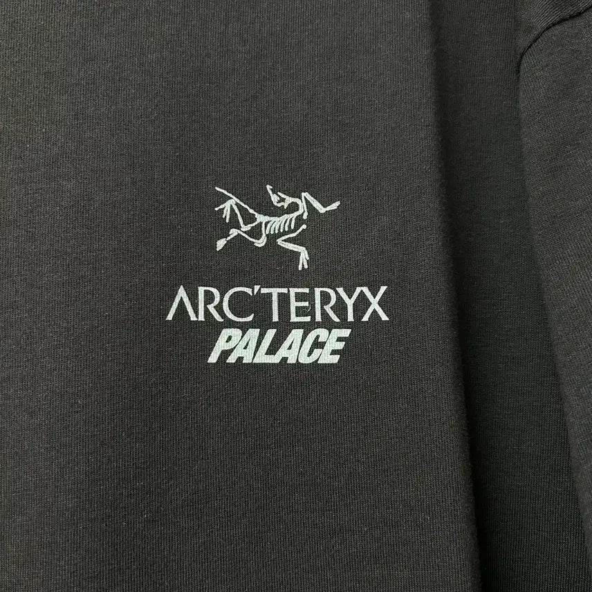 [BUNJANG] Palace x Arc&