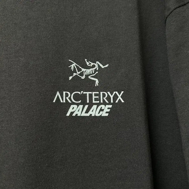 [BUNJANG] Palace x Arc&