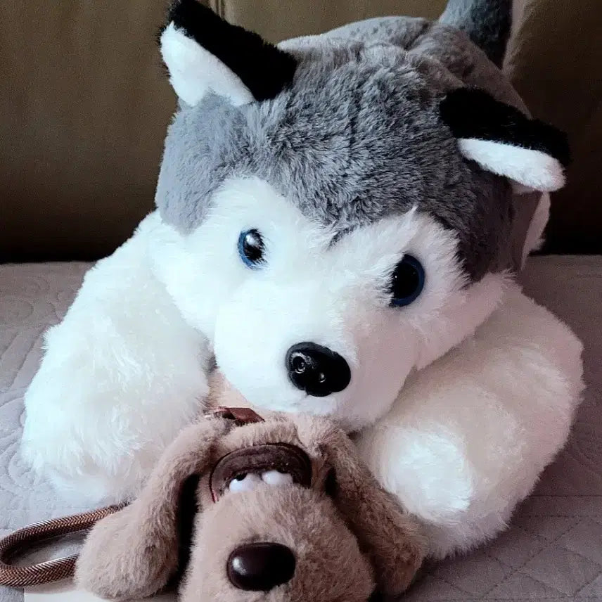 [BUNJANG] Siberian Husky Backpack Plush Toy 45cm with Gromit Keyring Plush / 시베리안 허스키 백팩가방인형 45cm+그로밋 키링인형(새상품)