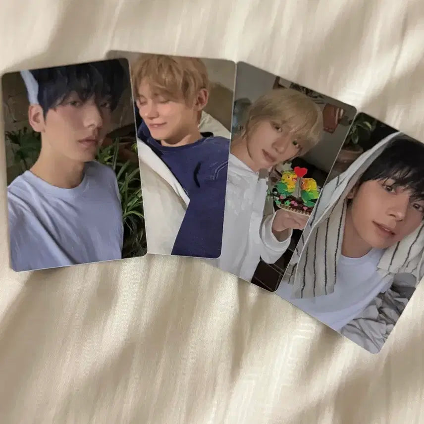 [BUNJANG] TXT Sanctuary Angel Photocard Bundle Set / 투바투 생츄어리 엔젤 포카 양도