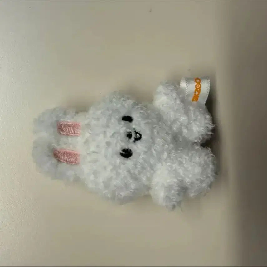 [BUNJANG] SKZOO Ribbit Micro Bag Charm / 스키주 리빗 마이크로
