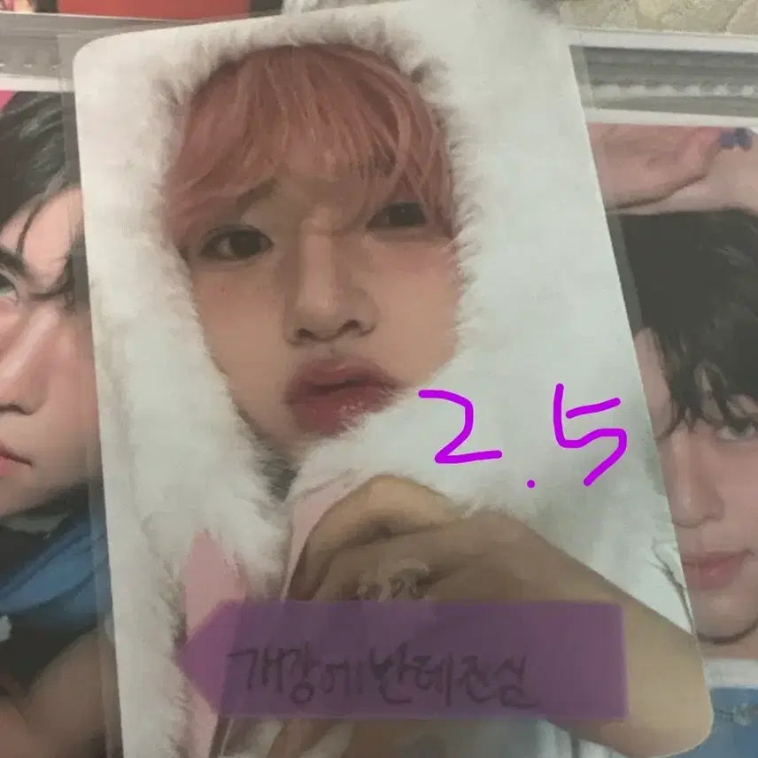 [BUNJANG] NCT WISH Sakuya Trading Card B Version / 엔시티 위시 시그 트레카 B버전 사쿠야