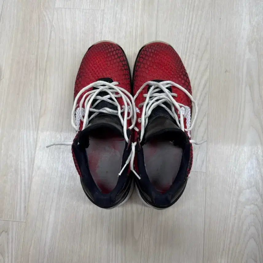 [BUNJANG] Nike Kobe All-Star Basketball Shoes / 코비 올스타