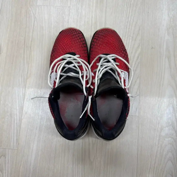[BUNJANG] Nike Kobe All-Star Basketball Shoes / 코비 올스타
