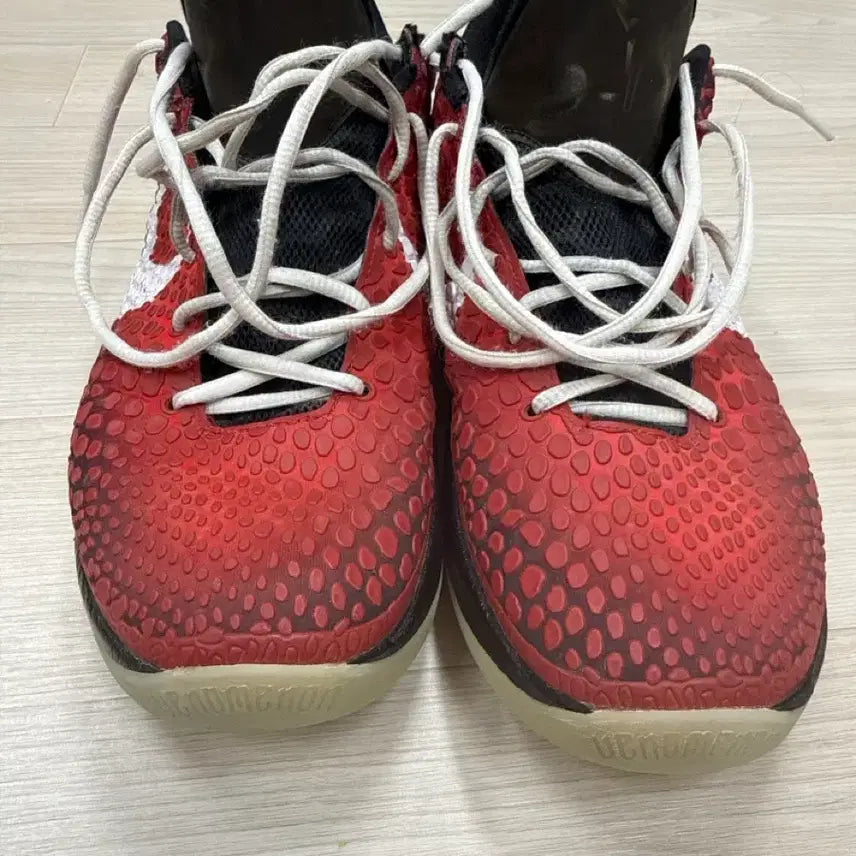 [BUNJANG] Nike Kobe All-Star Basketball Shoes / 코비 올스타