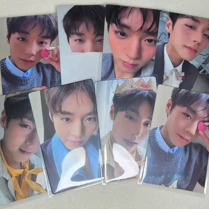 [BUNJANG] Park Jihoon Seer D Set Photocard Bundle Set / 박지훈 시터 D세트 미개봉 포카포함 폴라포함