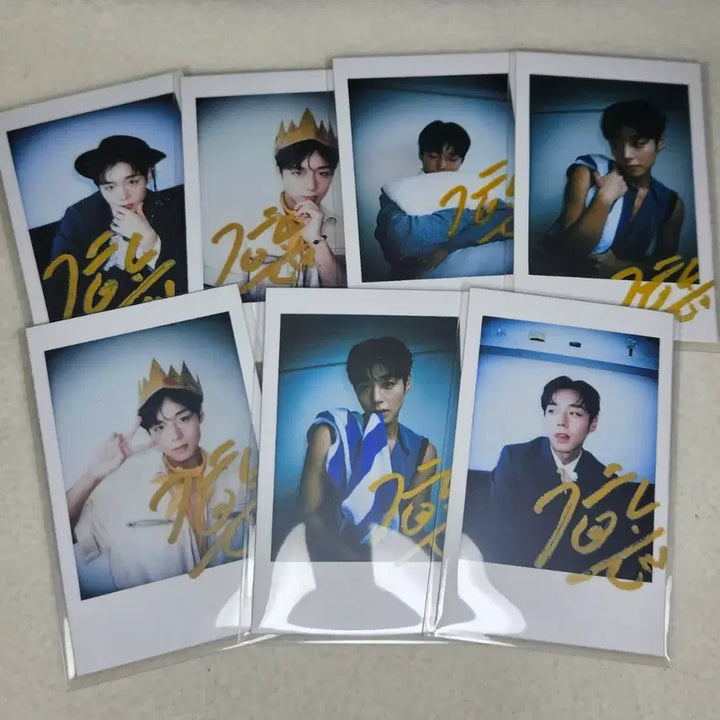 [BUNJANG] Park Jihoon Seer D Set Photocard Bundle Set / 박지훈 시터 D세트 미개봉 포카포함 폴라포함