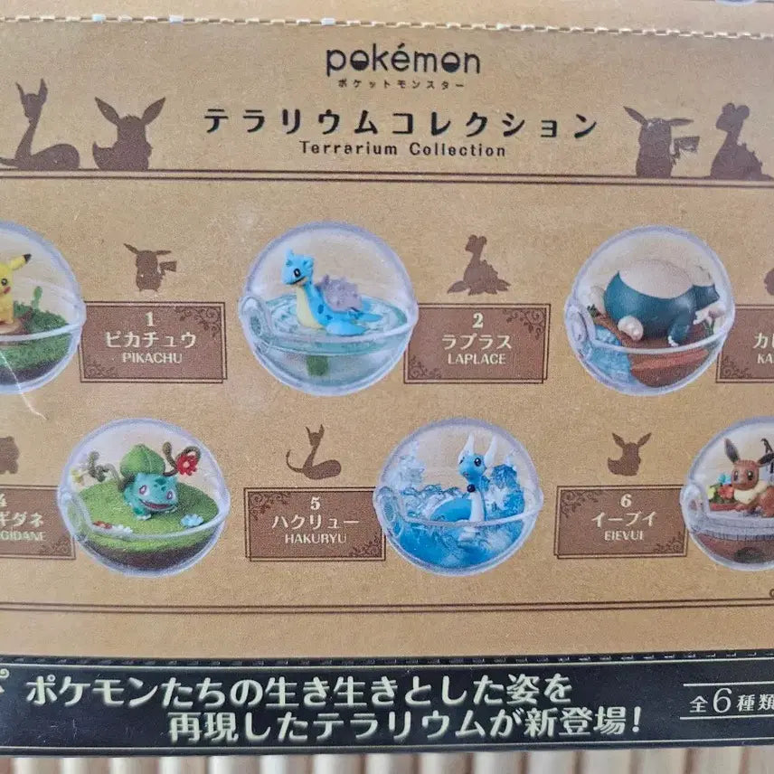 [BUNJANG] Pokemon Terrarium Collection 1st &amp; 3rd Edition Full Set Sealed / 미개봉 포켓몬 테라리움 컬렉션 1탄,3탄 풀세트 팝니다