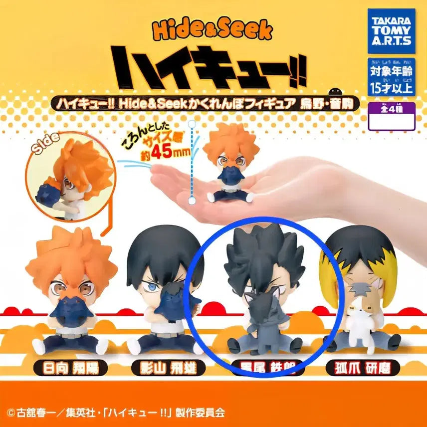[BUNJANG] Haikyuu!! Kakurenbo Hide-and-Seek Gacha Figure / 하이큐 카쿠렌보 숨바꼭질 가챠 피규어
