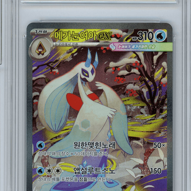 [BUNJANG] MEGA SNOWY BEAR SAR BRG 9 / [한판] 메가눈여아 ex 233 SAR BRG 9