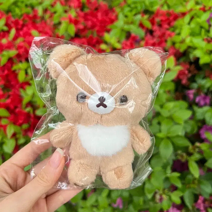 [BUNJANG] Rilakkuma &amp; Chairoikoguma 10th Anniversary Honey Koguma Plush (Sealed) / [미개봉] 리락쿠마 차이로이코구마 5colors 10주년 꿀코구마 누이