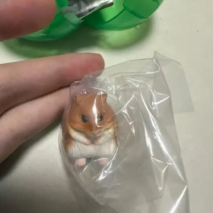 [BUNJANG] Golden Hamster Figure Goods / 마치보우케 기다리는 골든햄스터 피규어 굿즈
