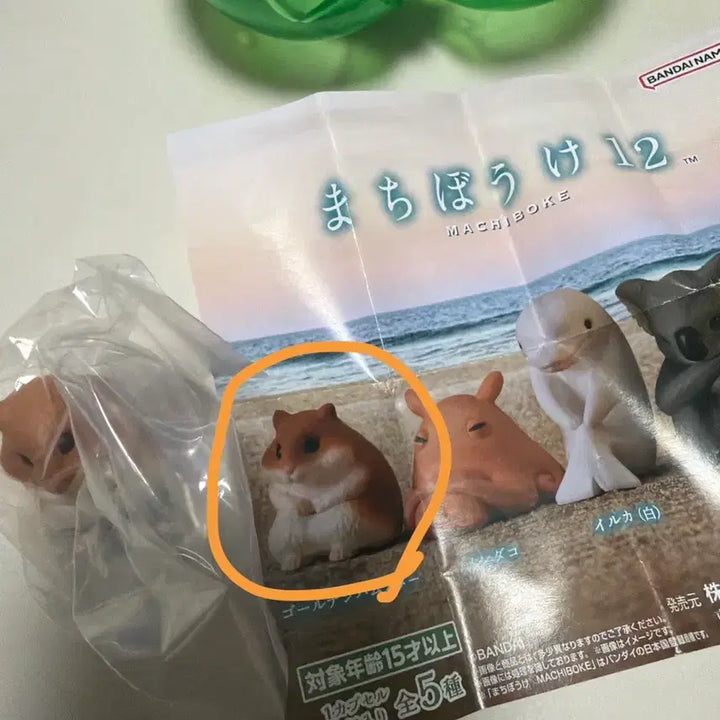 [BUNJANG] Golden Hamster Figure Goods / 마치보우케 기다리는 골든햄스터 피규어 굿즈